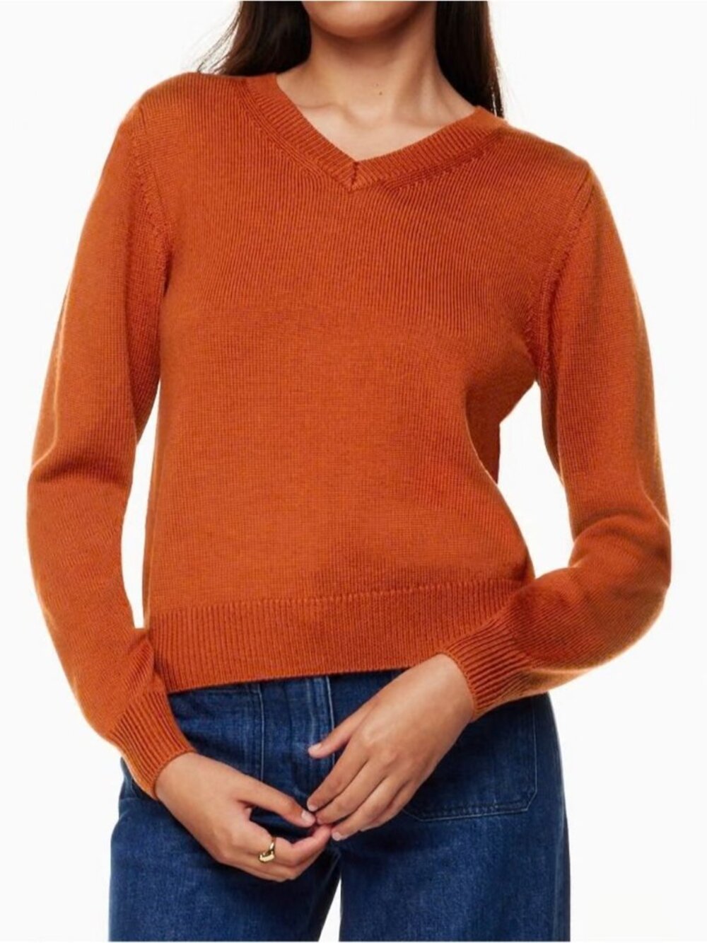 Wilfred Free Palomino Merino Wool Sweater in Copper Size XL Aritzia #100445